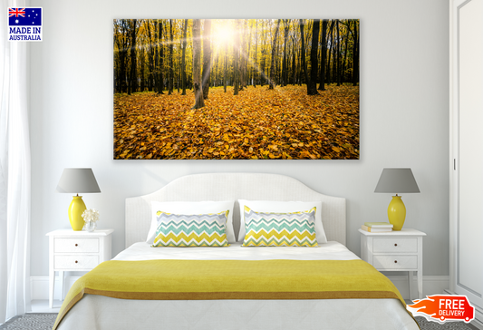 Autumn Tree Forest Photograph Print 100% Australian Made