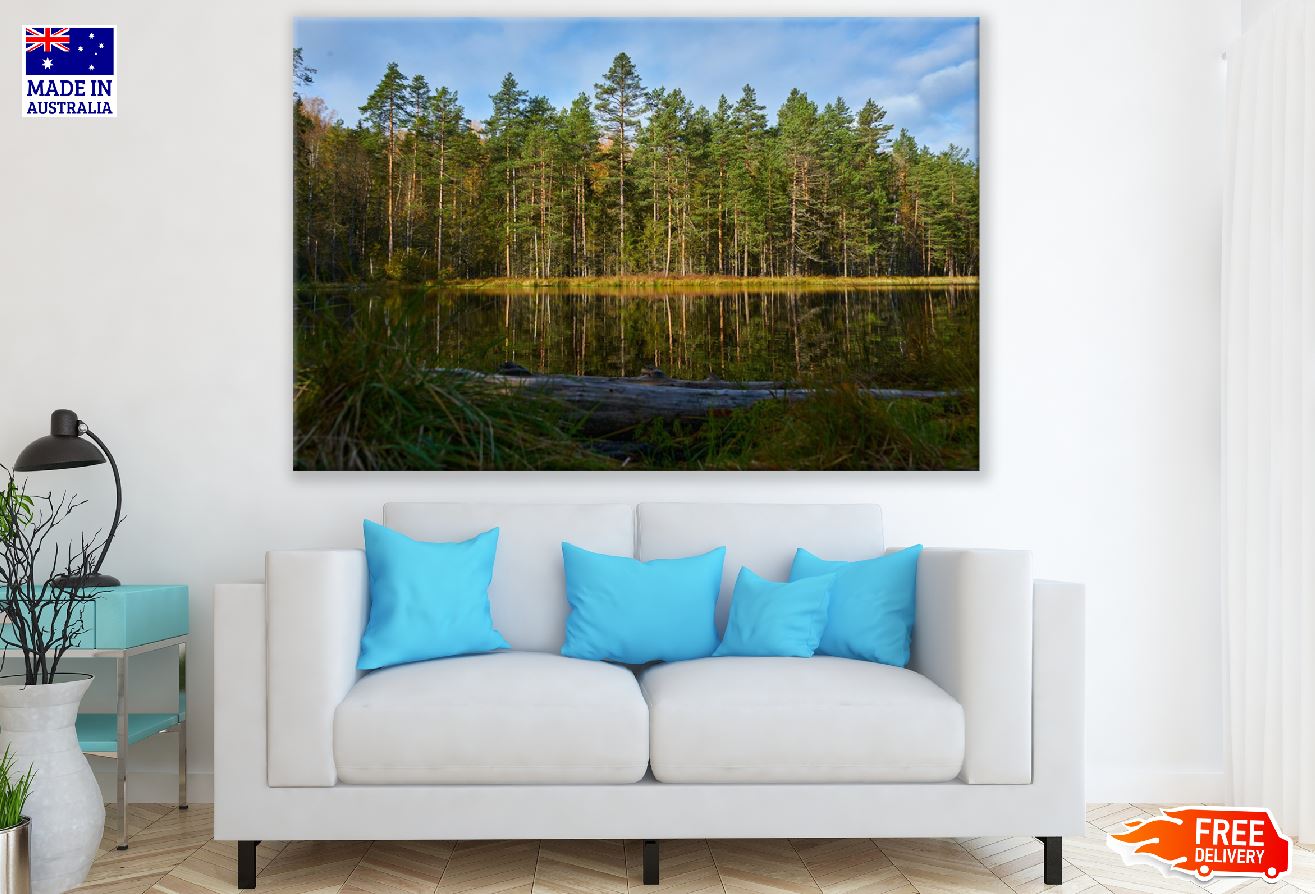 Trees on a Lake Edge Reflected Photograph Print 100% Australian Made