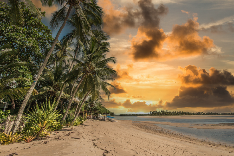 Palm Trees & Sea Sunset Sky View Photograph Print 100% Australian Made