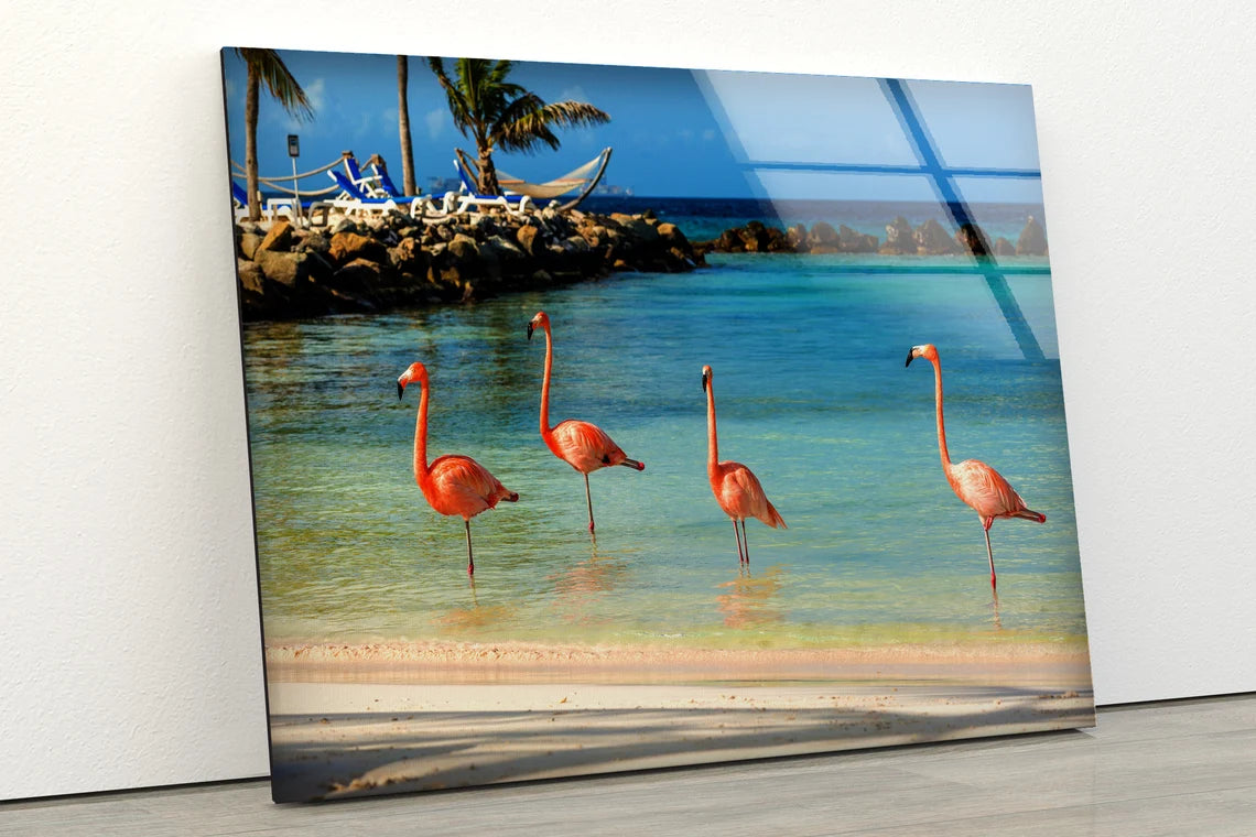 Flamingos on Sea Photograph Acrylic Glass Print Tempered Glass Wall Art 100% Made in Australia Ready to Hang