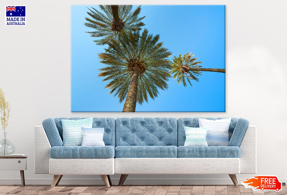 Palm Trees Closeup Photograph Print 100% Australian Made