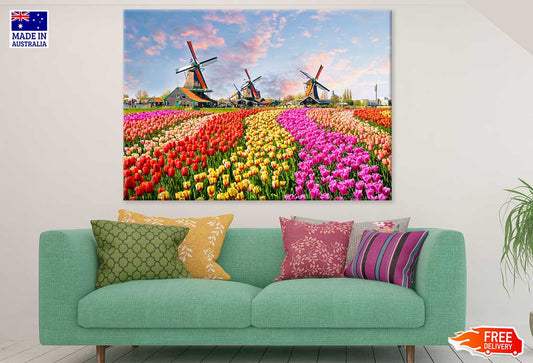 Colorful Tulip Fields Photograph Netherland Print 100% Australian Made