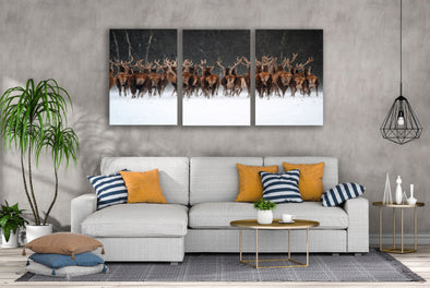 3 Set of Deer Herd Walking on Snow Ground Photograph High Quality Print 100% Australian Made Wall Canvas Ready to Hang