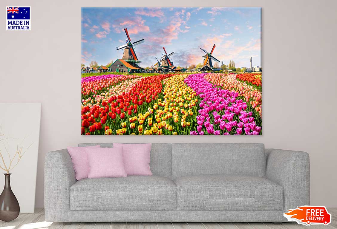 Colorful Tulip Fields Photograph Netherland Print 100% Australian Made