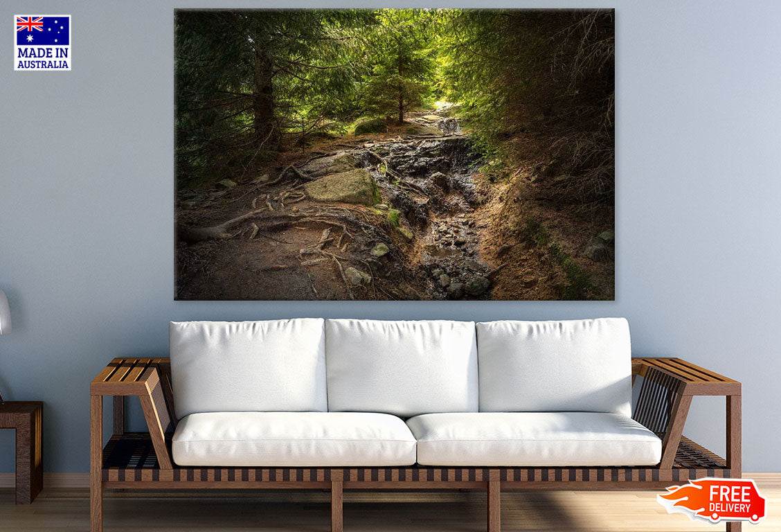 Waterfall in Forest Photograph Print 100% Australian Made