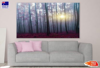 Misty Forest Beautiful Autumn Sunrise Print 100% Australian Made