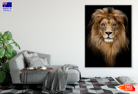 Lion Face Portrait Photograph Print 100% Australian Made