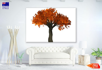 Autumn Tree Transparent Print 100% Australian Made