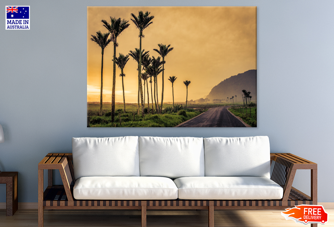 Plam Trees & Sunset Scenery Photograph Print 100% Australian Made