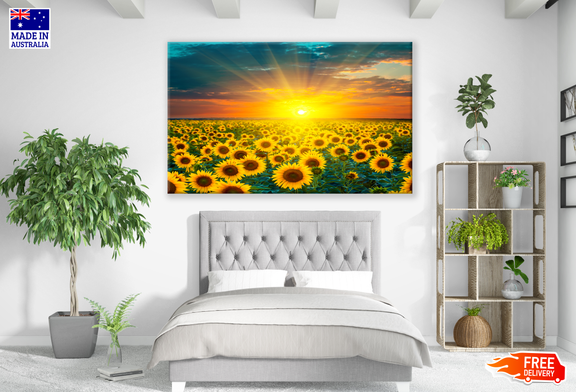 Sunflower Field In Sunset Print 100% Australian Made