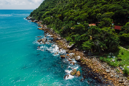 Nature Trees & Sea Aerial View Photograph Print 100% Australian Made