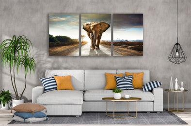 3 Set of Elephant Walking on Road Photograph High Quality Print 100% Australian Made Wall Canvas Ready to Hang