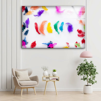 Colorful Feathers Photograph Acrylic Glass Print Tempered Glass Wall Art 100% Made in Australia Ready to Hang