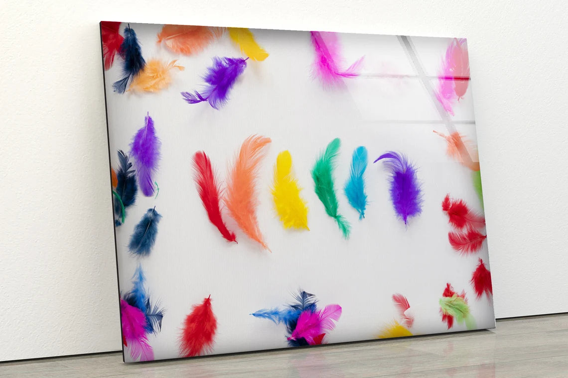 Colorful Feathers Photograph Acrylic Glass Print Tempered Glass Wall Art 100% Made in Australia Ready to Hang