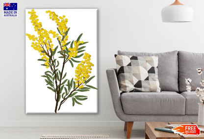 Branch of Wattle Flowers & Leaves Photograph Print 100% Australian Made