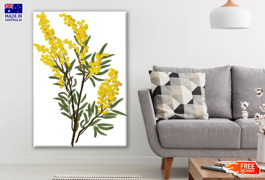Branch of Wattle Flowers & Leaves Photograph Print 100% Australian Made