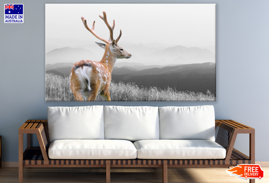 Deer Looking At Far Photograph Print 100% Australian Made