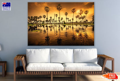 Asian Palmyra Palm Tree & Lake Sunset Photograph Print 100% Australian Made