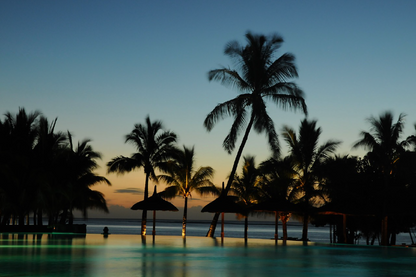 Palm Trees & Infinity Pool Near Sea Photograph Print 100% Australian Made