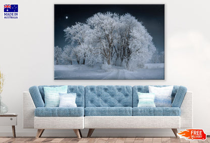 Snow Covered Trees Photograph Print 100% Australian Made