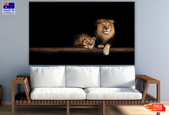 Lion Couple Laying in a Cave Photograph Print 100% Australian Made
