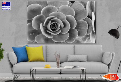 B&W Flower Photograph Print 100% Australian Made