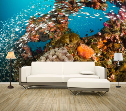 Wallpaper Murals Peel and Stick Removable Photograph Underwater Fish Photograph High Quality