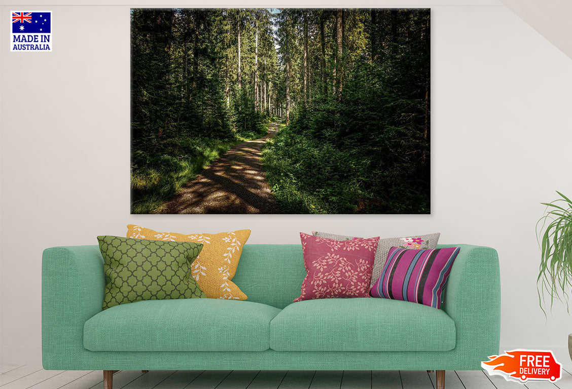 Footpath in Forest Photograph Print 100% Australian Made