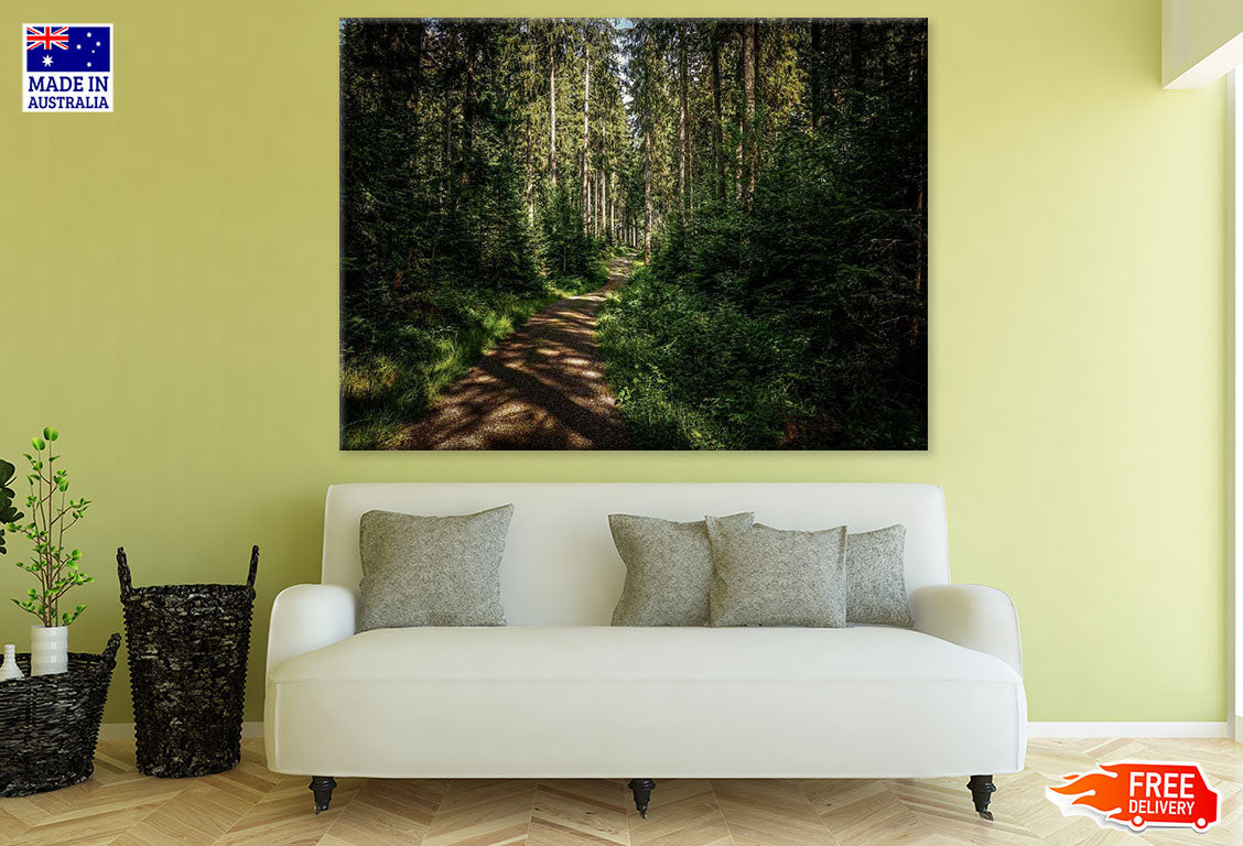 Footpath in Forest Photograph Print 100% Australian Made