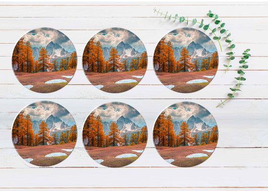 Larch Forest View Coasters Wood & Rubber - Set of 6 Coasters