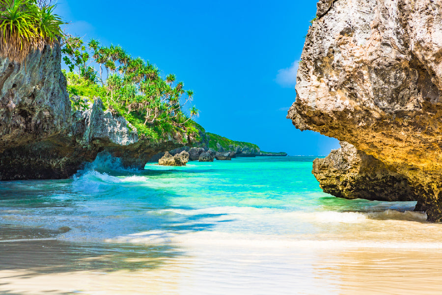 Rocky Beach with Palm Trees View Photograph Print 100% Australian Made