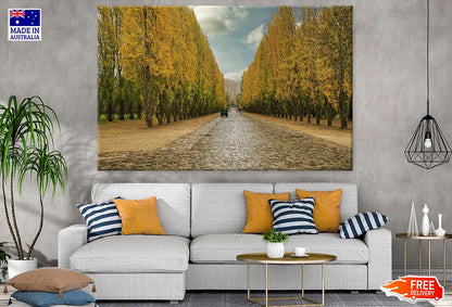 Tall Yellow Flower Trees Along Road Photograph Print 100% Australian Made