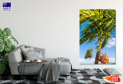 Orange & Green Berries Palm Tree Photograph Print 100% Australian Made