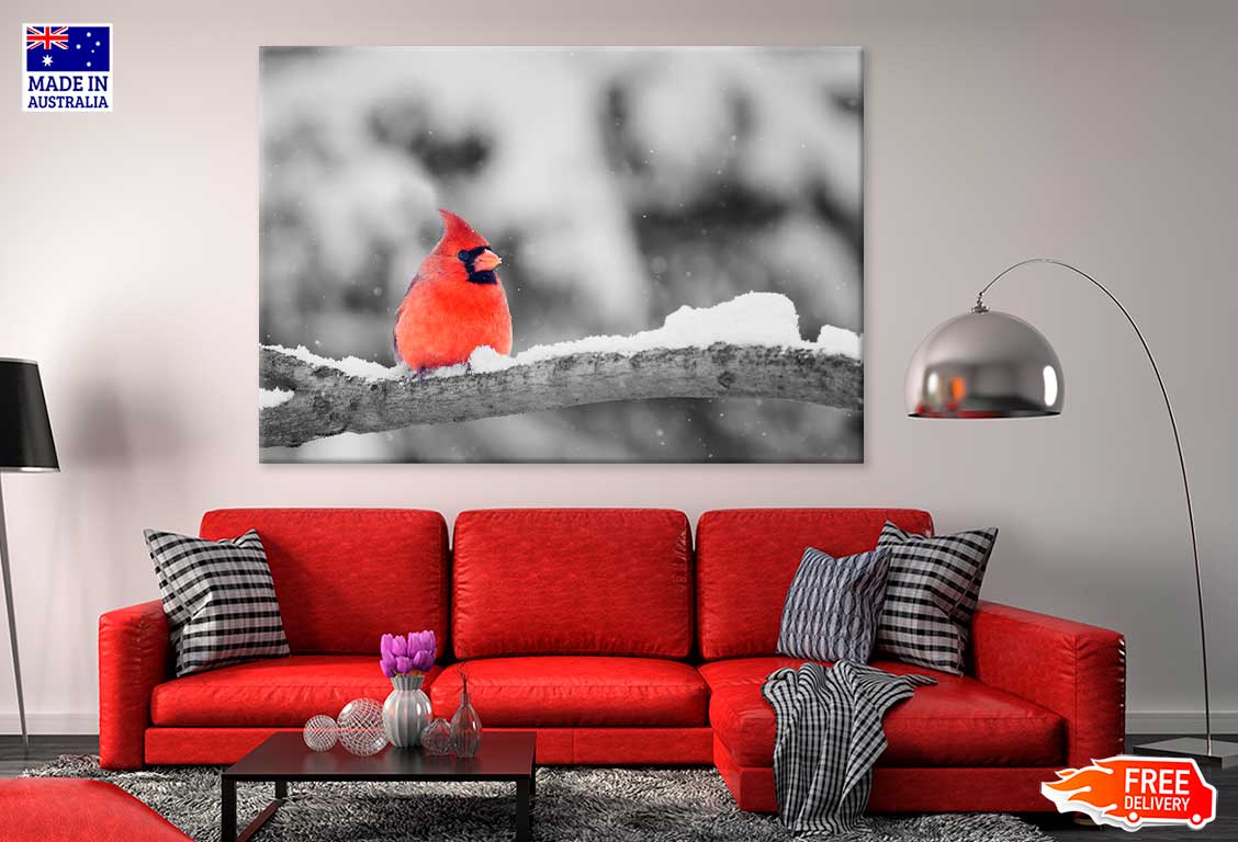 Cardinal Bird on Snowy Tree Branch Photograph Print 100% Australian Made