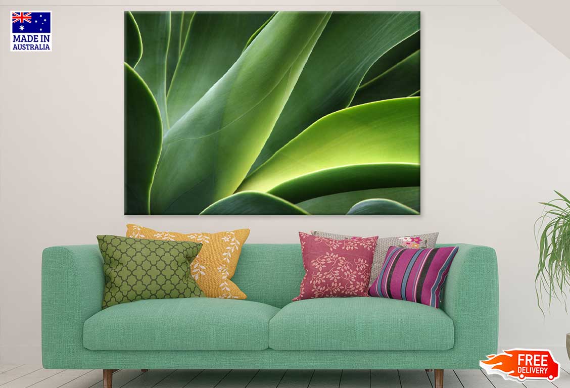 Green Leaf Closeup View Photograph Print 100% Australian Made