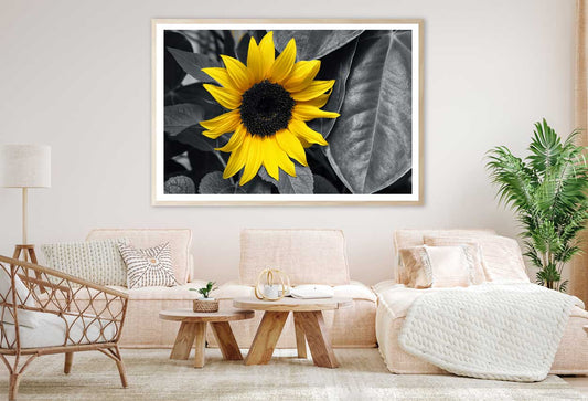 Yellow Sunflower with Leaves B&W View Photograph Home Decor Premium Quality Poster Print Choose Your Sizes