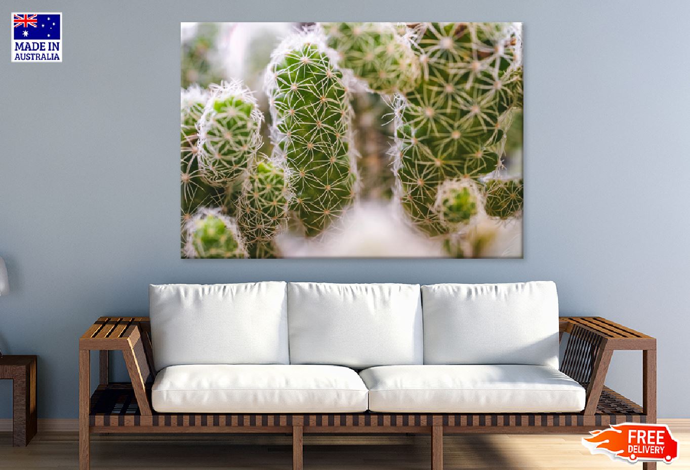 Green Succulent Plant Closeup View Photograph Print 100% Australian Made