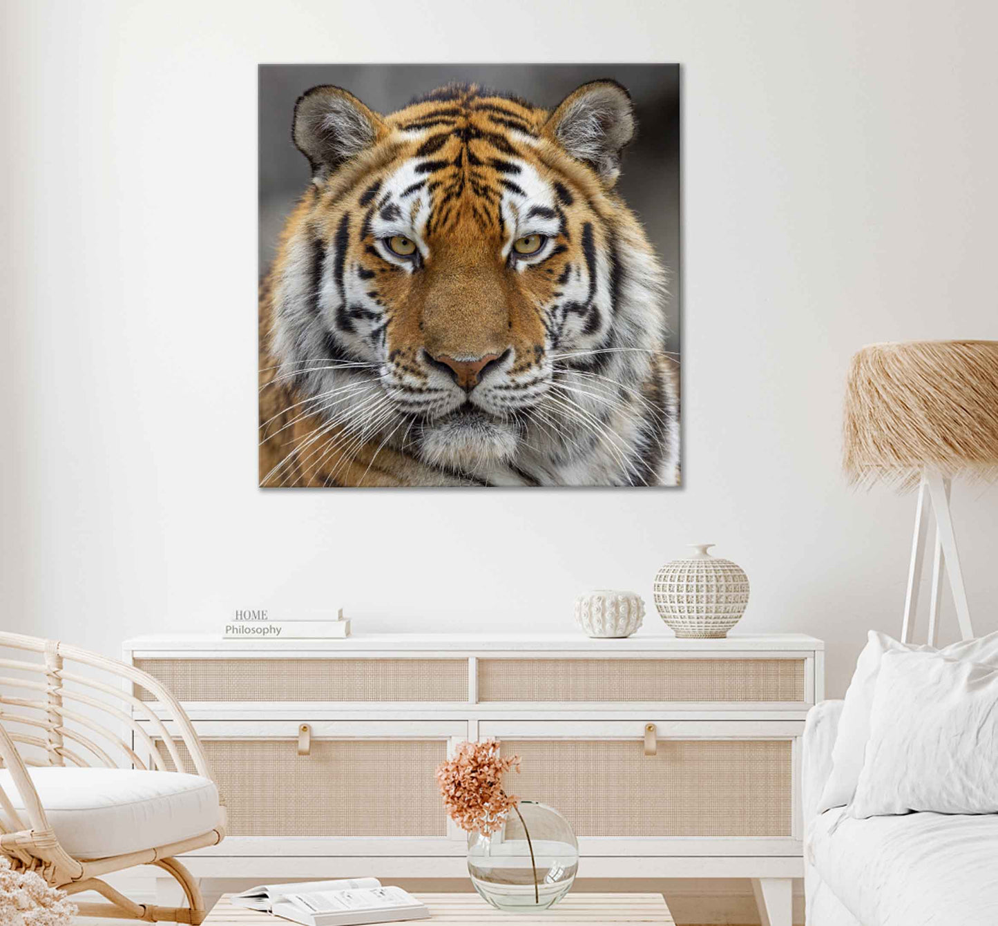 Square Canvas Tiger Face Closeup View Photograph High Quality Print 100% Australian Made