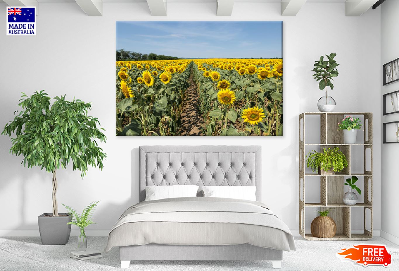 Sunflower Field View Photograph Print 100% Australian Made