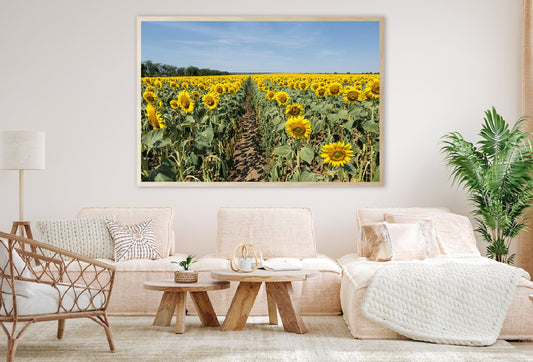 Sunflower Field View Photograph Home Decor Premium Quality Poster Print Choose Your Sizes