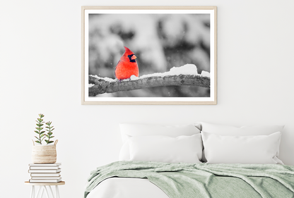 Cardinal Bird on Snowy Tree Branch Photograph Home Decor Premium Quality Poster Print Choose Your Sizes