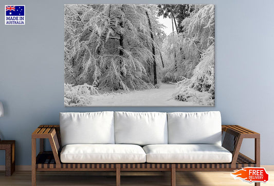 Road in Snow Covered Trees Photograph Print 100% Australian Made