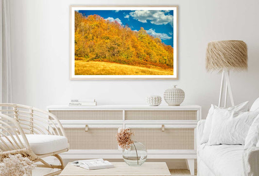 Autumn Trees Hill Cloudy Blue Sky Photograph Home Decor Premium Quality Poster Print Choose Your Sizes