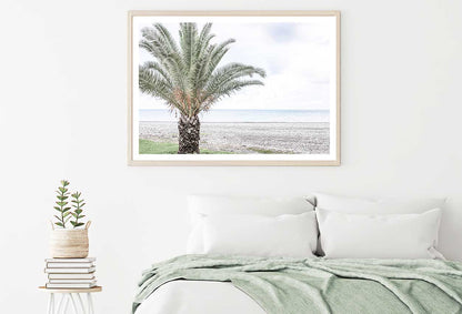 Palm Tree Near Beach View Photograph Home Decor Premium Quality Poster Print Choose Your Sizes