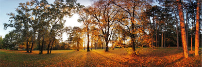 Panoramic Canvas Sunset on Autumn Trees Photograph High Quality 100% Australian Made Wall Canvas Print Ready to Hang