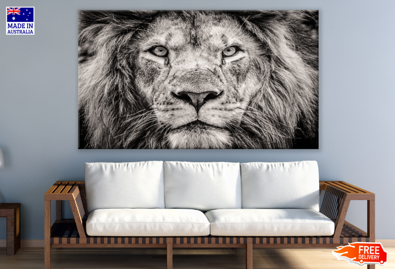 Lion face Closeup B&W Photograph Print 100% Australian Made