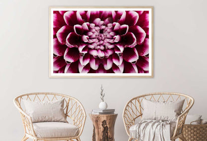 Maroon Pink Dahlia Closeup View Photograph Home Decor Premium Quality Poster Print Choose Your Sizes