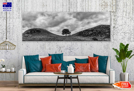 Panoramic Canvas Alone Tree Hill B&W View Photograph High Quality 100% Australian Made Wall Canvas Print Ready to Hang