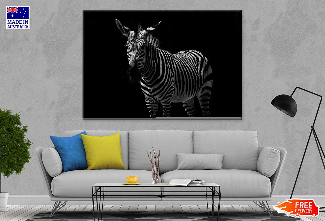 Zebra on Dark Closeup Photograph Print 100% Australian Made