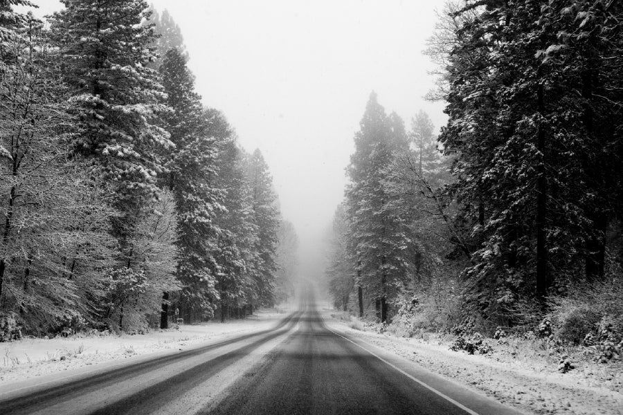 Road Covered with Snow Trees B&W Photograph Print 100% Australian Made